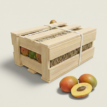 Alphonso Mango Big Peti