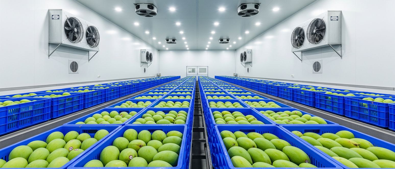 Our Ripening Chamber